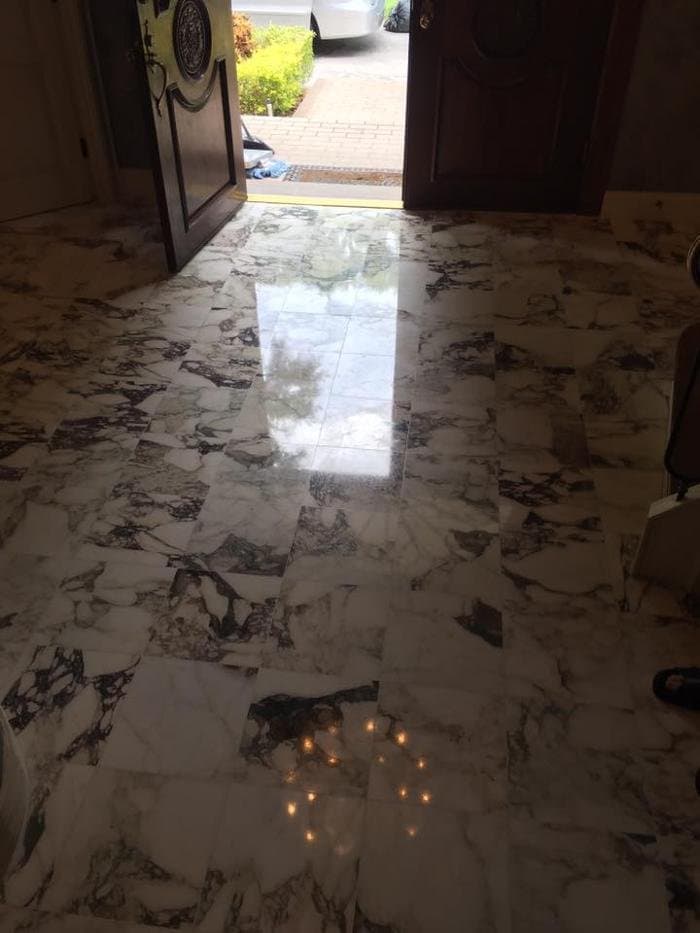 Veined white and gray marble foyer floor with a polished center strip and duller surrounding stone
