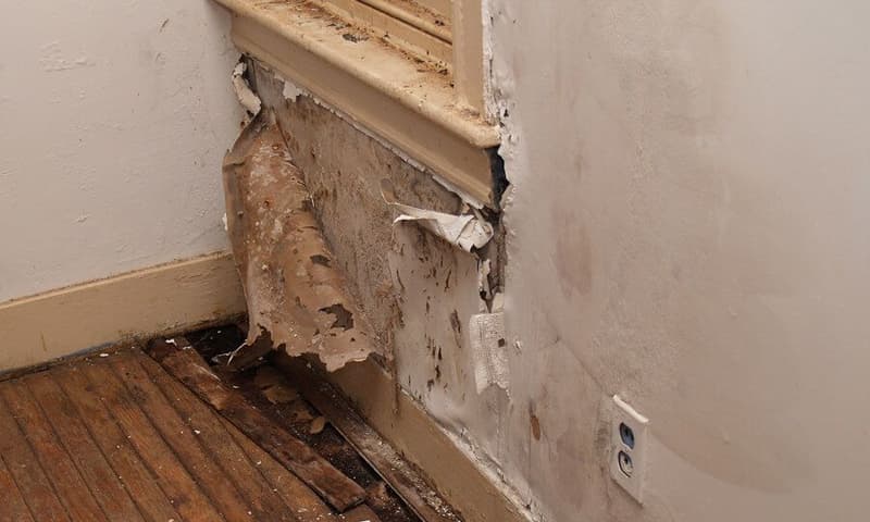 Important Health & Safety Warning: Protect Your Home from Water Damage!